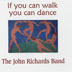 If You Can Walk You Can Dance